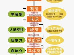-金色雨林感统训练·专注力·语言认知·心理沙盘(天通苑校区)