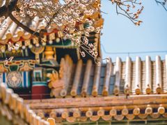 -故宫博物院(故宫)