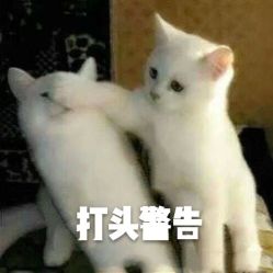 -刺客纹画纹身·洗纹身·穿孔饰品