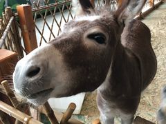 -华夏文旅西安度假区