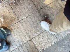 -嘉华鲜花饼·现烤(昆明老街店)