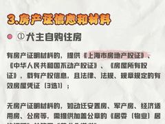 -瑞派申生动物医院·24H夜诊·国际动物医疗中心·骨外科(吴中路店)