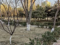 -庄怡公园