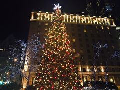 -太平洋中心(CF Pacific Centre)