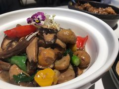 九层塔蘑菇板栗搬-熹素·鲜美素食Vegetarian (天河领展店)