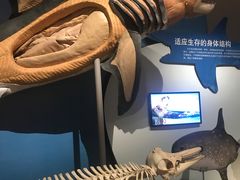 -天津自然博物馆