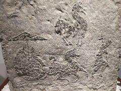 -徐州汉画像石艺术馆