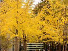 -浙江大学(紫金港校区)