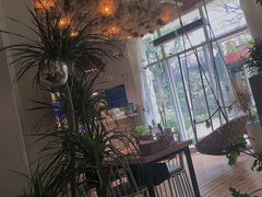 -春树下·树屋花房西餐厅(罍街AS1980店)