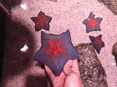 -沈阳海洋探索中心