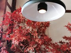 -江渔儿酸菜鱼专门店(明珠广场店)