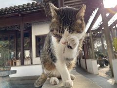 -西园戒幢律寺