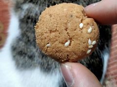 -闻酥园(水碾河路店)