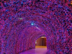 -牛啤堂精酿啤酒餐吧(五棵松华熙店)