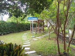 -大队长大灶鹅