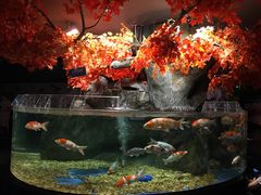 -成都浩海立方海洋公园