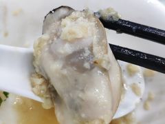 -蚝专家