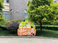 -成都安仁福朋喜来登酒店
