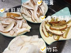 -菌之家·专业纯野生菌火锅·特色炒菌