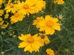 -无锡新湖铂尔曼大酒店