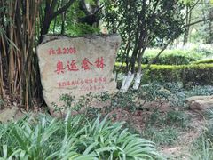 -邓小平故里