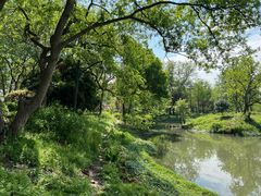 -西溪国家湿地公园