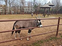 -大连森林动物园