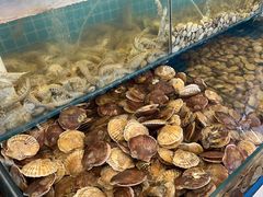 -港畔赶海蒸汽海鲜烧烤自助(仙螺岛店)