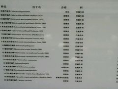 -青岛贝壳博物馆