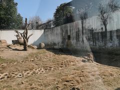 -武汉紫薇都市田园