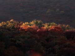 -周口店坡峰岭风景区