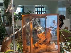 -一尺花园(安和花园店)