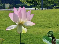 -云溪植物园