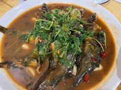 红烧昂刺鱼-杨辉饭店