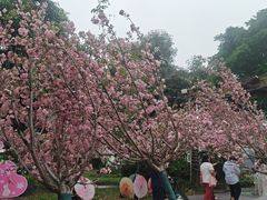 -广东花都香草世界旅游度假区