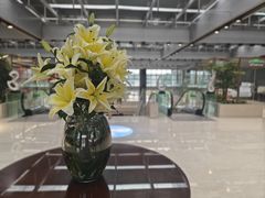 -广州白云机场雅高铂尔曼大酒店