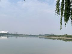 -象湖生态湿地公园