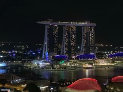 -新加坡瑞士史丹福酒店