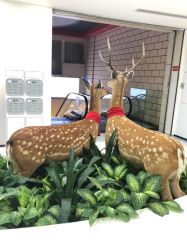 -润泽瑞尼丝医疗美容医院