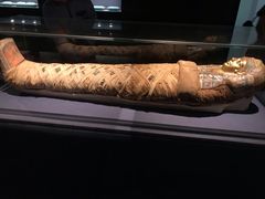 -浙江西湖美术馆