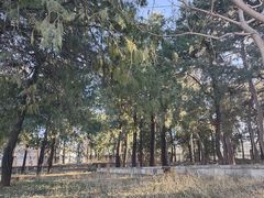 -北京鹫峰国家森林公园