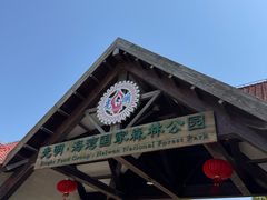 -上海海湾国家森林公园