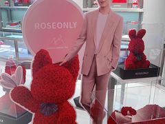 -ROSEONLY诺誓(广州K11店)