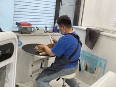 -老吴的猫·猫舍(新区店)