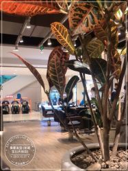 -Mentor Hair Salon