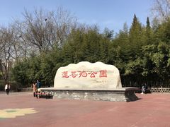 -莲花池公园