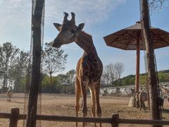 -大连森林动物园