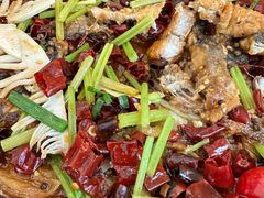 -老板恋上鱼(恒隆广场店)