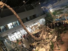 -自贡恐龙博物馆