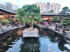 -猪肉婆私房菜(容桂总店)
